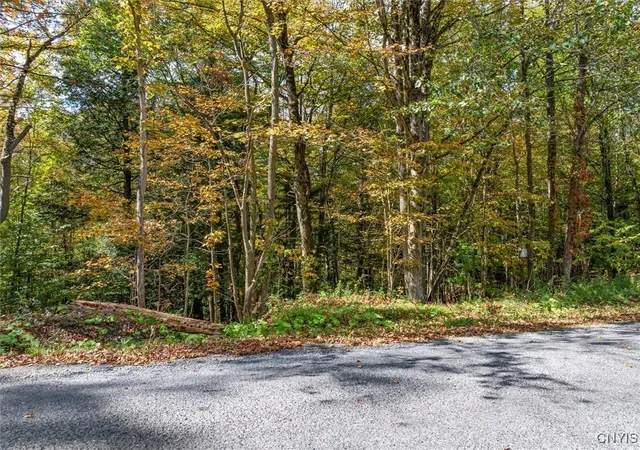 2nd image of 0 Ball Rd, Frankfort, NY 13340 | MLS# S1641981