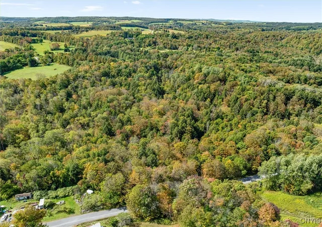 3rd image of 0 Ball Rd, Frankfort, NY 13340 | MLS# S1641981
