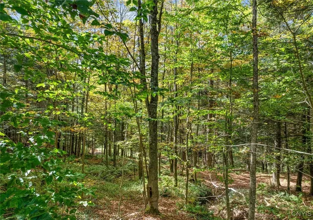 5th image of 0 Ball Rd, Frankfort, NY 13340 | MLS# S1641981