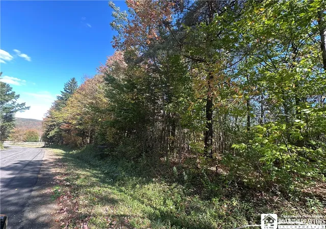 Photo 1 of Land for sale at Prill Rd, East Otto, NY 14729 | MLS# R1638809 | Listing updated on 2026-07-06