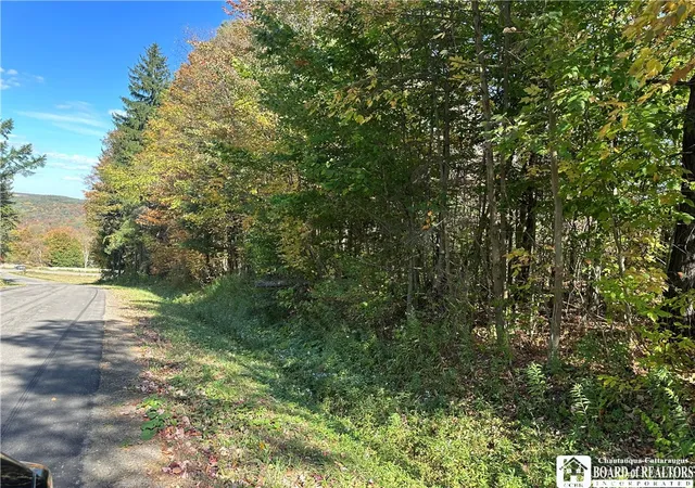 Photo 2 of Land for sale at Prill Rd, East Otto, NY 14729 | MLS# R1638809 | Listing updated on 2026-07-06