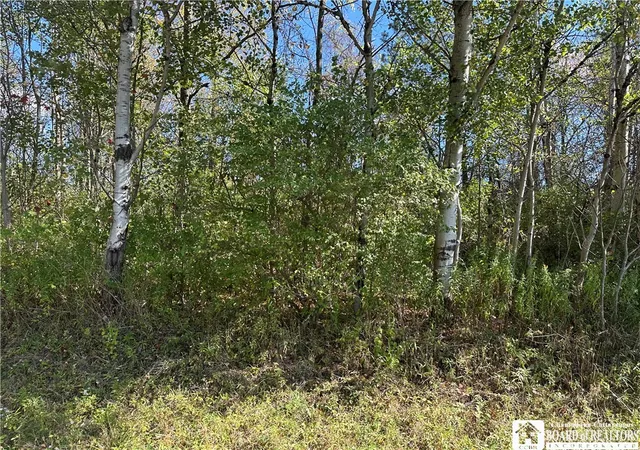 Photo 3 of Land for sale at Prill Rd, East Otto, NY 14729 | MLS# R1638809 | Listing updated on 2026-07-06