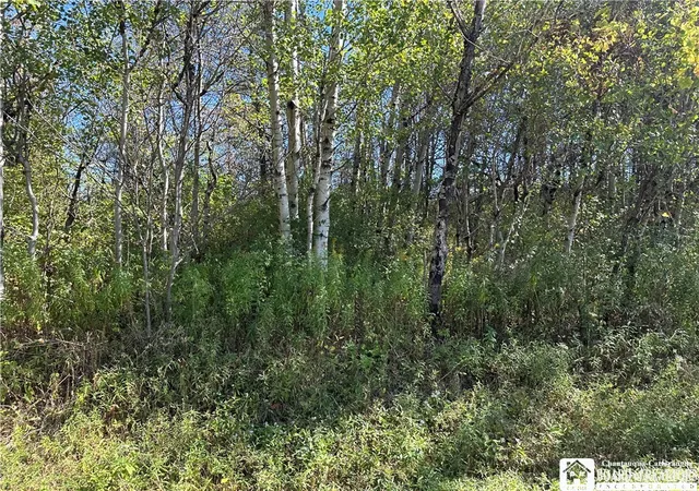 Photo 4 of Land for sale at Prill Rd, East Otto, NY 14729 | MLS# R1638809 | Listing updated on 2026-07-06