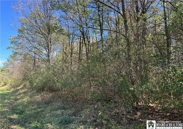 Photo 5 of Land for sale at Prill Rd, East Otto, NY 14729 | MLS# R1638809 | Listing updated on 2026-07-06