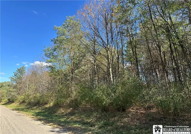 Photo 8 of Land for sale at Prill Rd, East Otto, NY 14729 | MLS# R1638809 | Listing updated on 2026-07-06