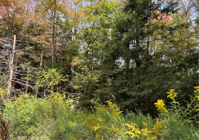 3rd image of 421 Welch Rd, Stamford, NY 12167 | MLS# R1642184