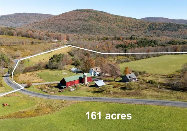 Homes for sale in Roxbury, NY | 3536 New Kingston Mountain Rd, Roxbury, NY 12474 | MLS# R1643522