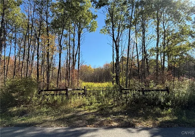 Homes for sale in Van Etten, NY | Shoemaker Rd, Van Etten, NY 14889 | MLS# S1643093