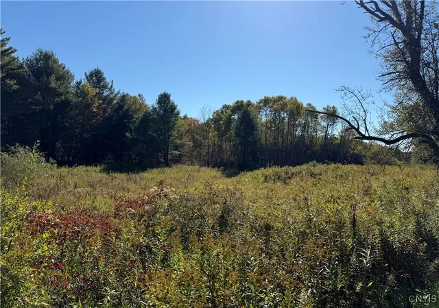 Homes for sale in Van Etten, NY | Shoemaker Rd, Van Etten, NY 14889 | MLS# S1643093