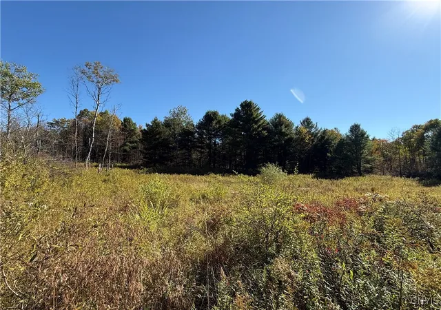 Homes for sale in Van Etten, NY | Shoemaker Rd, Van Etten, NY 14889 | MLS# S1643093
