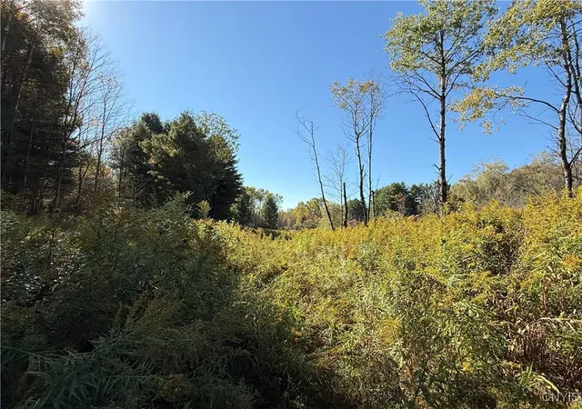Homes for sale in Van Etten, NY | Shoemaker Rd, Van Etten, NY 14889 | MLS# S1643093