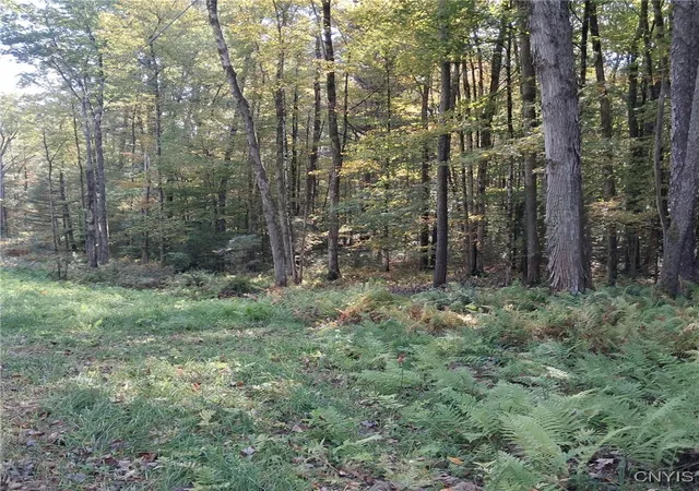 Homes for sale in Vienna, NY | 0 Stone Barn Rd, Vienna, NY 13042 | MLS# S1643550