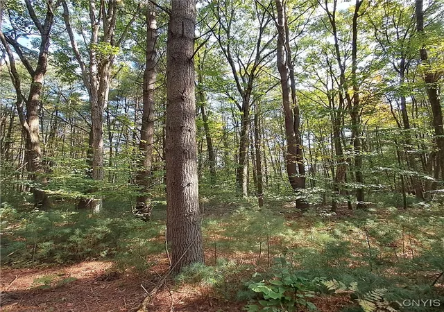 Homes for sale in Vienna, NY | 0 Stone Barn Rd, Vienna, NY 13042 | MLS# S1643550