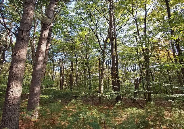 Homes for sale in Vienna, NY | 0 Stone Barn Rd, Vienna, NY 13042 | MLS# S1643550