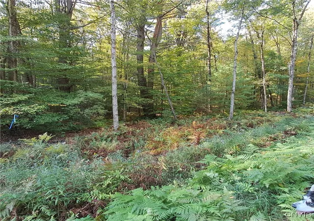 Homes for sale in Vienna, NY | 0 Stone Barn Rd, Vienna, NY 13042 | MLS# S1643550