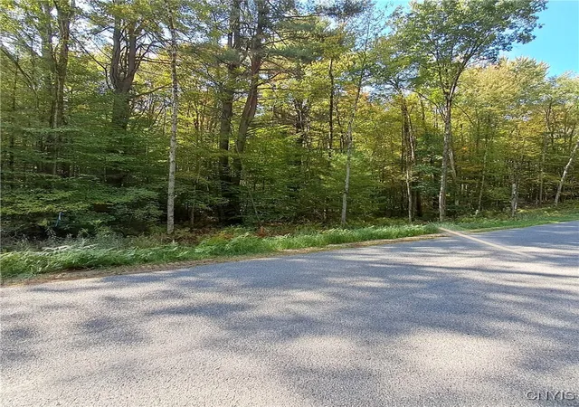 Homes for sale in Vienna, NY | 0 Stone Barn Rd, Vienna, NY 13042 | MLS# S1643550