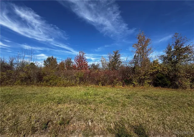 Photo 3 of Land for sale at Vl Mcclelland Rd, Newfane, NY 14108 | MLS# B1644210 | Listing updated on 2026-01-29