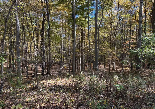 Homes for sale in Jerusalem, NY | 2507 Shanty Plains Rd, Jerusalem, NY 14527 | MLS# R1644228