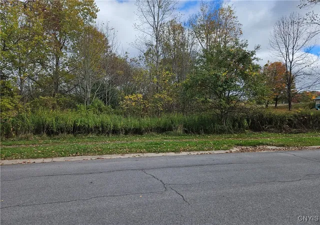Homes for sale in Richland, NY | Salmon Meadow Ln, Richland, NY 13142 | MLS# S1643506