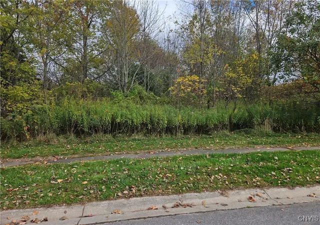 Homes for sale in Richland, NY | Salmon Meadow Ln, Richland, NY 13142 | MLS# S1643506