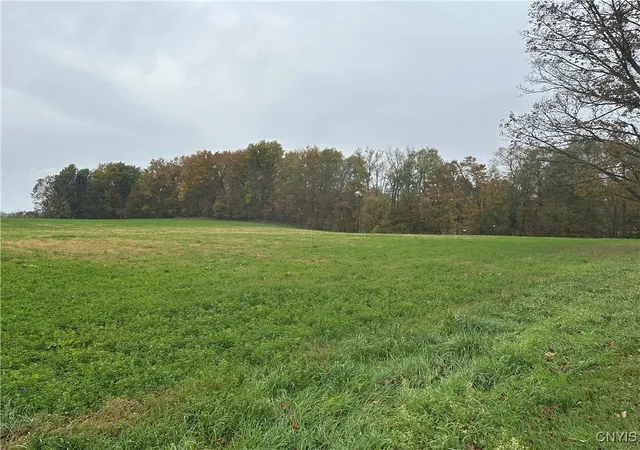 Homes for sale in Lee, NY | Stokes Lee Center Rd, Lee, NY 13440 | MLS# S1644815
