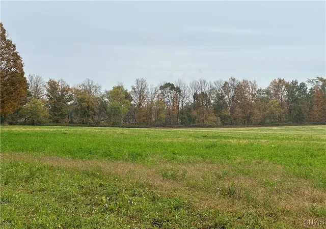 Homes for sale in Lee, NY | Stokes Lee Center Rd, Lee, NY 13440 | MLS# S1644815
