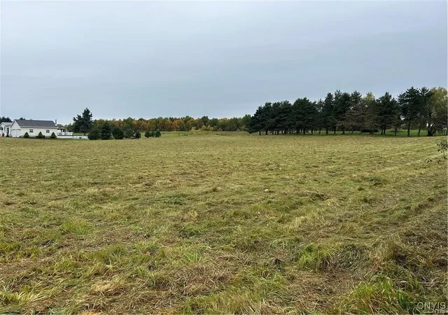 Homes for sale in Pamelia, NY | 0 Plank Rd, Pamelia, NY 13616 | MLS# S1645059