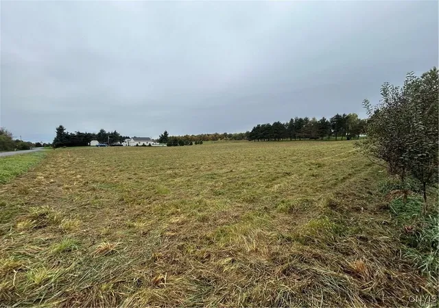 Homes for sale in Pamelia, NY | 0 Plank Rd, Pamelia, NY 13616 | MLS# S1645059