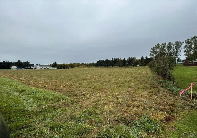 Homes for sale in Pamelia, NY | 0 Plank Rd, Pamelia, NY 13616 | MLS# S1645059