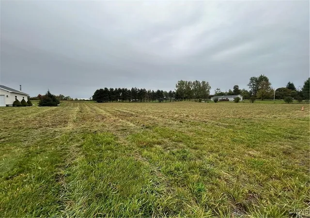Homes for sale in Pamelia, NY | 0 Plank Rd, Pamelia, NY 13616 | MLS# S1645059