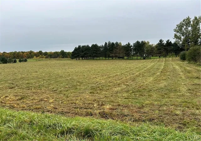 Homes for sale in Pamelia, NY | 00 Plank Rd, Pamelia, NY 13616 | MLS# S1645380