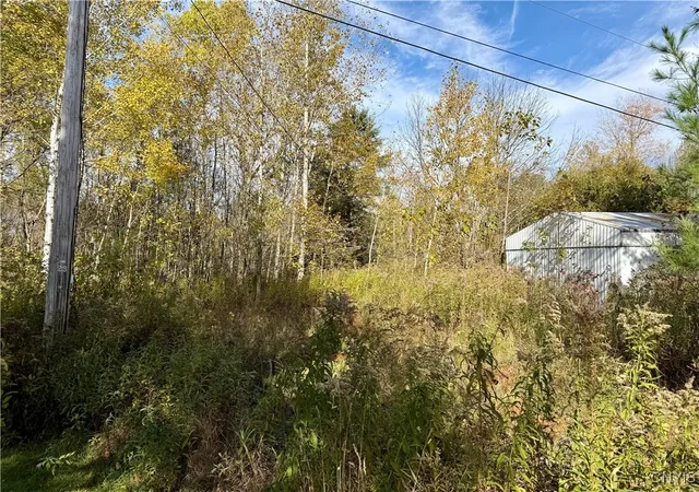 Homes for sale in Croghan, NY | 4895 Rogers Crossing Rd, Croghan, NY 13327 | MLS# S1645604