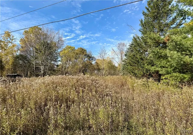 Homes for sale in Croghan, NY | 4895 Rogers Crossing Rd, Croghan, NY 13327 | MLS# S1645604