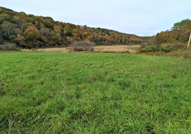 3rd image of 1191 State Route 248, West Union, NY 14877 | MLS# S1646394