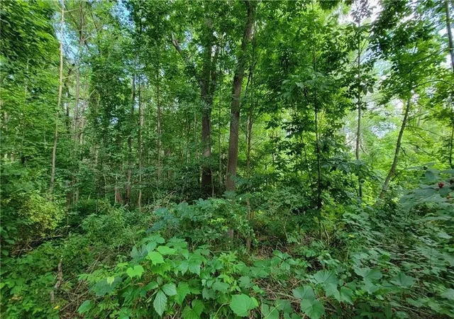 Photo 3 of Land for sale at 00 Dana Shrs Dr, Honeoye, NY 14471 | MLS# R1644155 | Listing updated on 2026-07-30