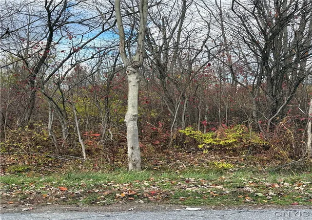 Photo 1 of Land for sale at Hinds Rd Lot 2 Purple, Pamelia, NY 13601 | MLS# S1645267 | Listing updated on 2026-07-31