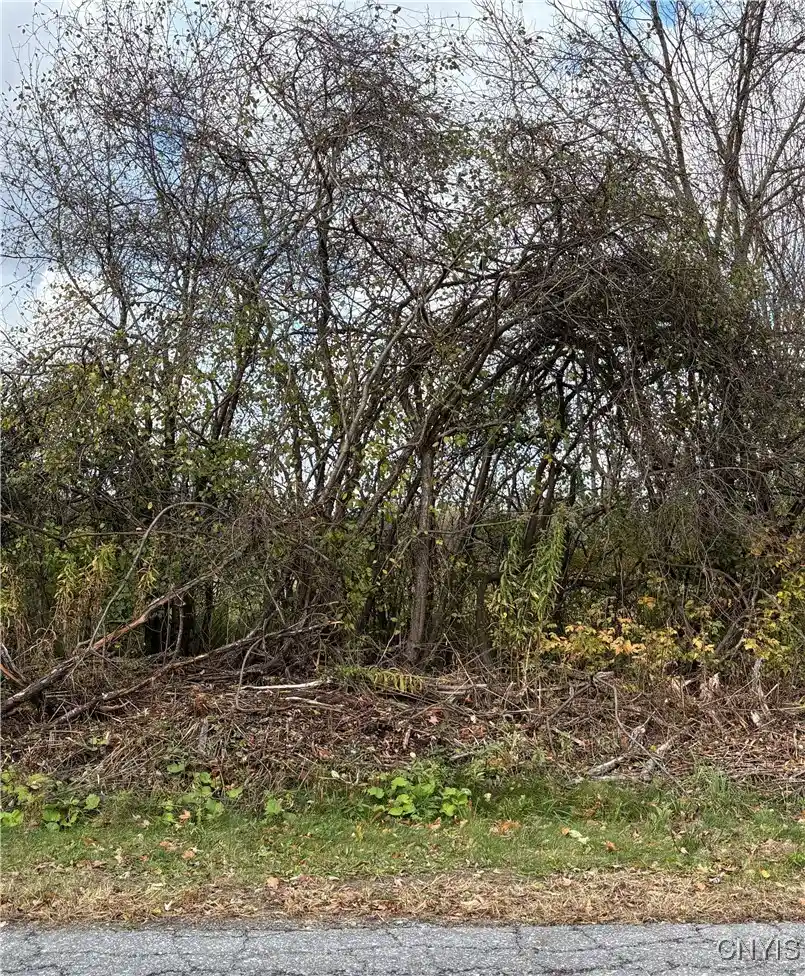 Photo 1 of Land for sale at Hinds Rd   Lot #3   Blue, Pamelia, NY 13601 | MLS# S1642901 | Listing updated on 2026-08-28