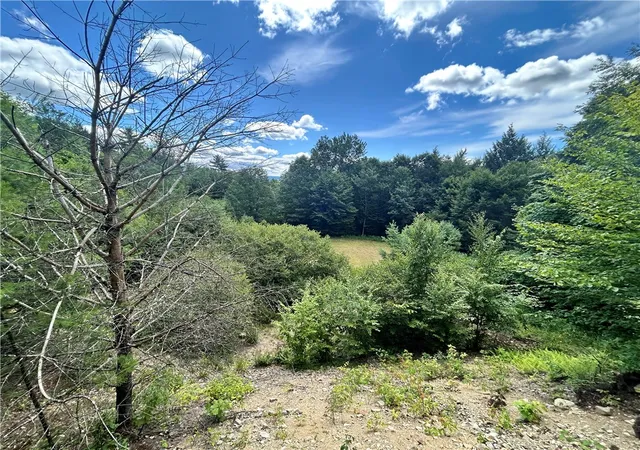 1st image of 270 Collins Gifford Valley Rd, Northville, NY 12134 | MLS# R1646828