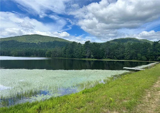 26th image of 270 Collins Gifford Valley Rd, Northville, NY 12134 | MLS# R1646828