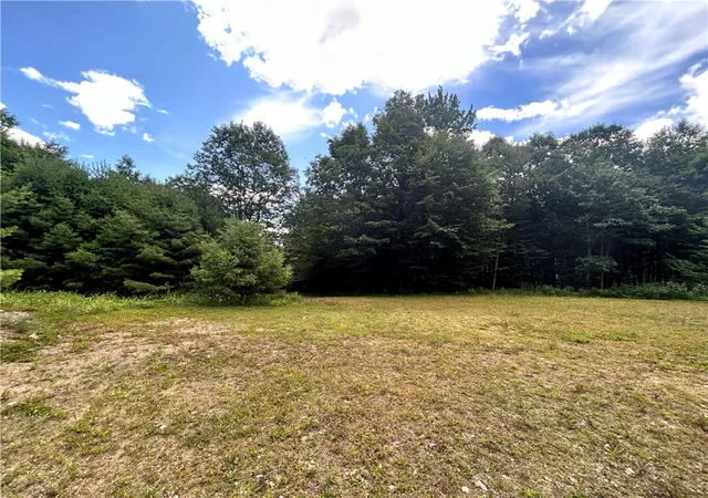 2nd image of 270 Collins Gifford Valley Rd, Northville, NY 12134 | MLS# R1646828