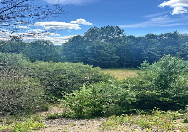 5th image of 270 Collins Gifford Valley Rd, Northville, NY 12134 | MLS# R1646828