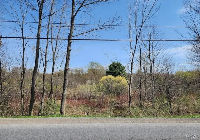 Homes for sale in Florence, NY | 0 County Route 70, Florence, NY 13316 | MLS# S1645628