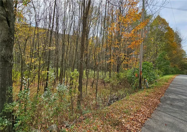 Homes for sale in Roxbury, NY | 161 N Montgomery Hollow Rd, Roxbury, NY 12474 | MLS# R1643765
