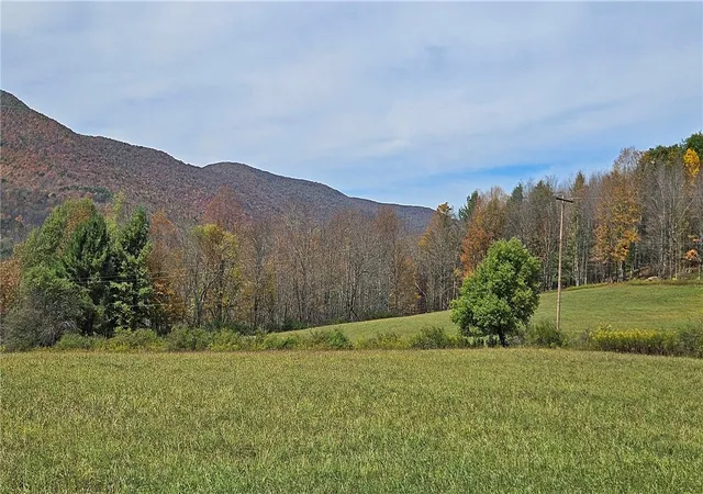 Homes for sale in Roxbury, NY | 161 N Montgomery Hollow Rd, Roxbury, NY 12474 | MLS# R1643765