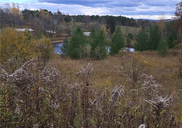 16th image of Hardknocks Rd, Unadilla, NY 13849 | MLS# R1647239
