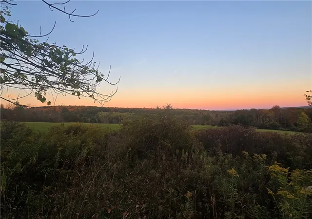 1st image of Hardknocks Rd, Unadilla, NY 13849 | MLS# R1647239