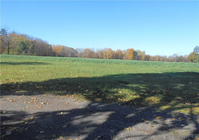 Photo 3 of Land for sale at Gowanda State Rd, Hamburg, NY 14075 | MLS# B1647613 | Listing updated on 2026-04-26