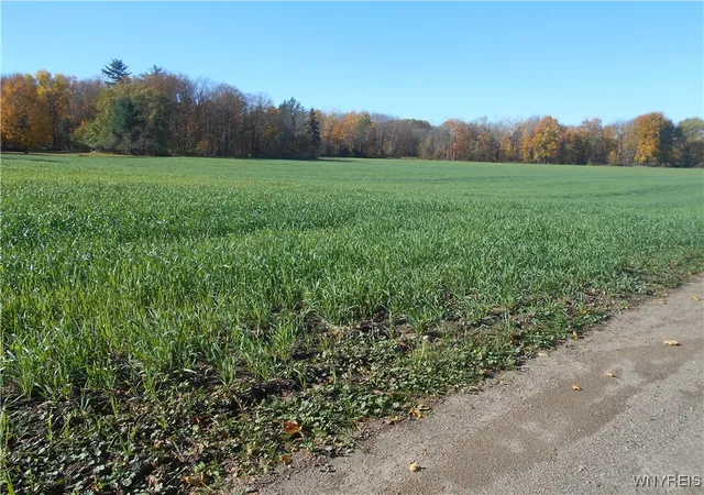 Photo 4 of House for sale at Gowanda State Rd, Hamburg, NY 14075 | MLS# B1647613 | Listing updated on 2026-04-26