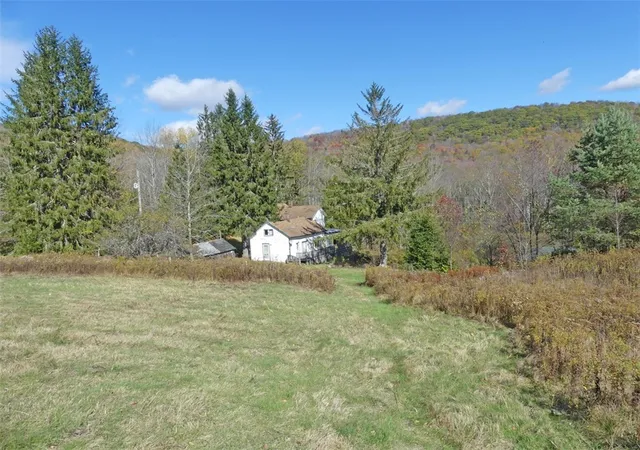 Homes for sale in Andes, NY | 606 Bussey Hollow Rd, Andes, NY 13731 | MLS# R1649309
