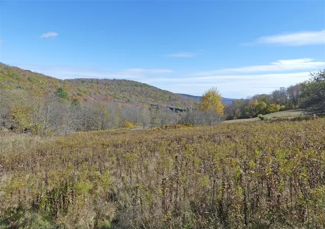 Homes for sale in Andes, NY | 606 Bussey Hollow Rd, Andes, NY 13731 | MLS# R1649309